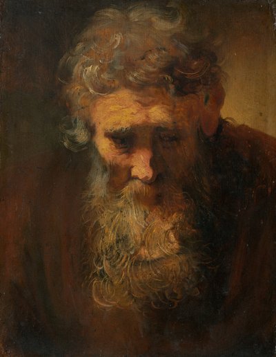 Studio di un vecchio da Follower of Rembrandt van Rijn
