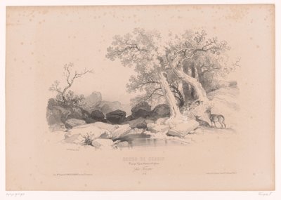 Paesaggio roccioso con acqua e due cervi da Fortuné Ferogio