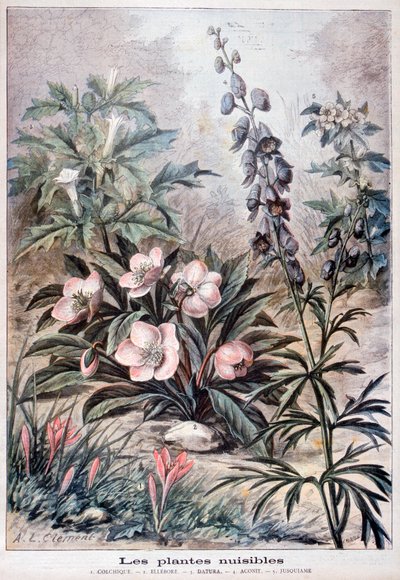 Piante Nocive, 1897 da Fortuné Méaulle