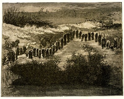 Allineamenti di menhir di Carnac. Disegno di Victor Hugo inciso da Meaulle. Estratto dal testo di Hugo (En voyage en Bretagne) da Fortune Louis Meaulle