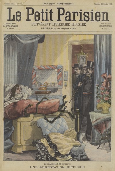 Il difficile arresto di un incantatore di serpenti da Fortune Louis Meaulle
