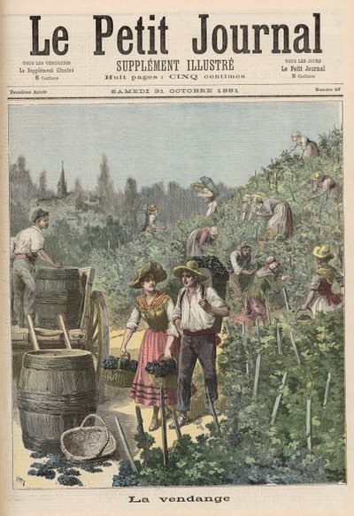 La vendemmia, da 