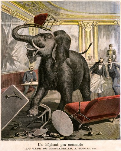 Un elefante scomodo: il pachiderma scappa da una menagerie del circo e rompe tutto nel caffè di Pre-Catelan a Tolosa. Incisione di Meaulle e Meyer nell