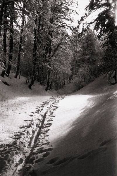Silenzio e mistero da Fosco Maraini