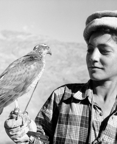 Giovane falconiere di Chitral sull