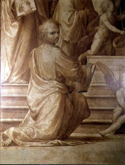 Pala del Gran Consiglio, dettaglio che raffigura un giovane santo inginocchiato da Fra Bartolomeo