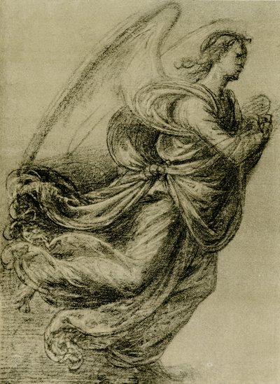 Studio di angelo da Fra Bartolomeo