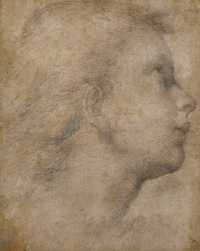 Testa di un angelo di profilo che guarda in alto a destra da Fra Bartolomeo