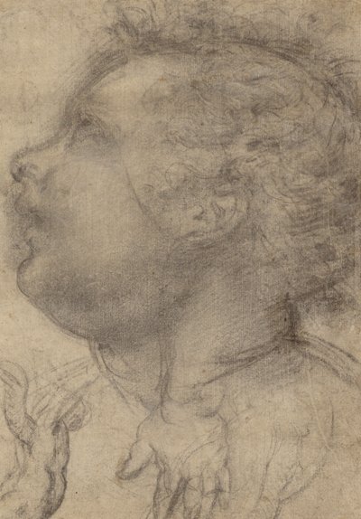 Testa di bambino, angelo e mano (recto); figura maschile (verso) da Fra Bartolommeo (Baccio della Porta)