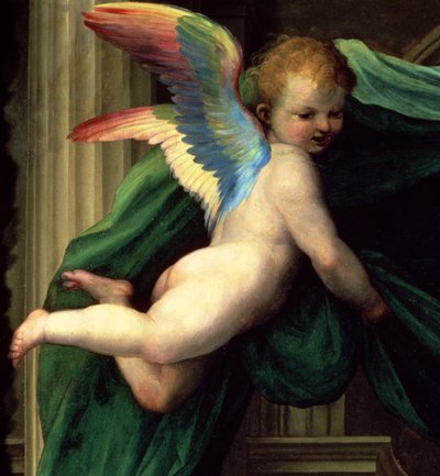 Il Matrimonio Mistico di Santa Caterina da Siena con Santi, dettaglio di un angelo da Fra Bartolommeo
