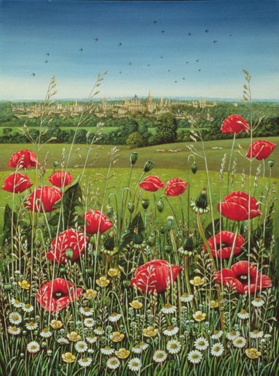 Papaveri di Oxford da Frances Broomfield
