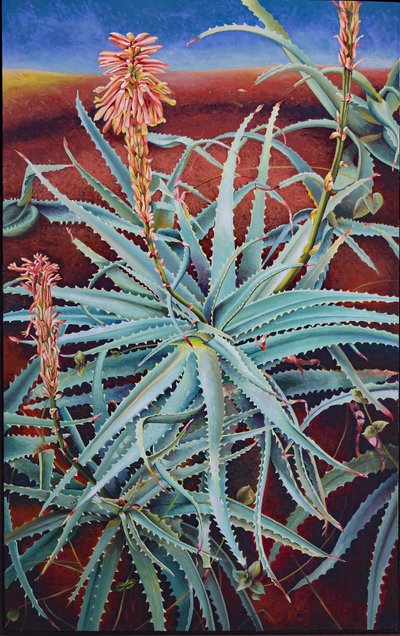 Aloe da Frances Ferdinands
