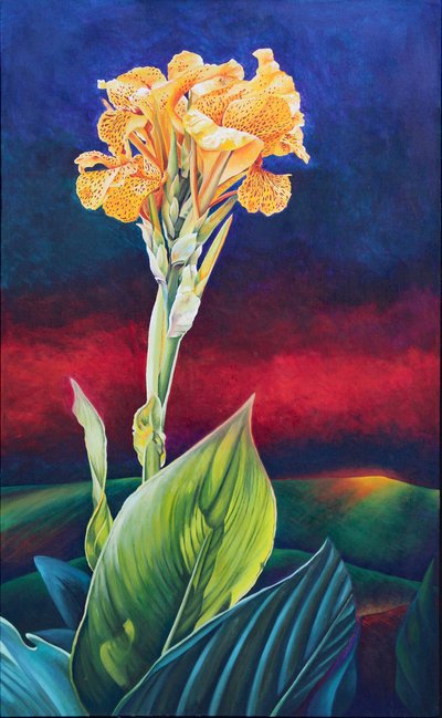 Canna gialla da Frances Ferdinands