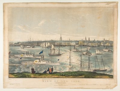 Vista di New York da Brooklyn Heights, 1849 da Frances Flora Bond Palmer