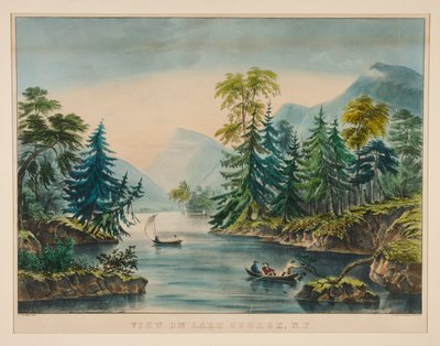 Veduta sul Lago George, NY da Frances Flora Bond Palmer