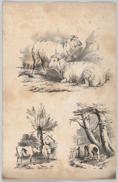 Vignetta con due pecore, vignetta con due mucche in una pozza e vignetta di un raccoglitore di legna..., 1847 da Frances Flora Bond Palmer