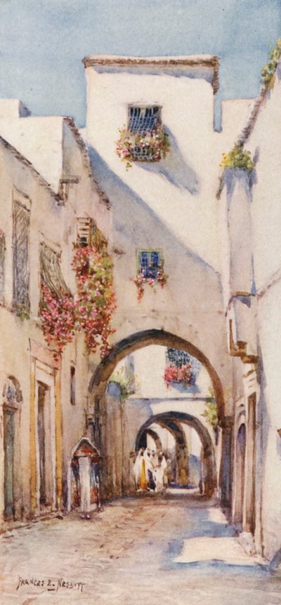 Rue Tourbet el Bey, Tunisi da Frances Nesbitt