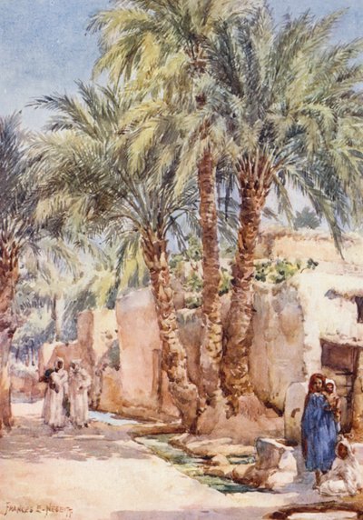 Il Villaggio delle Palme da Frances Nesbitt