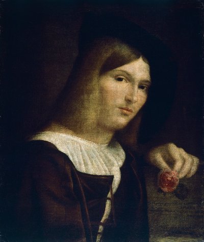 Ritratto di un giovane con una rosa da Francesco Torbido