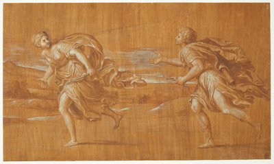 Apollon verfolgt Daphne da Francesco Albani