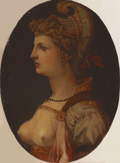 Ritratto ideale di una signora, Ritratto di Vittoria Colonna da Francesco Bacchiacca