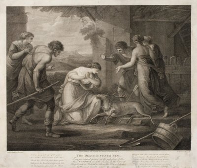 Senza titolo da Francesco Bartolozzi