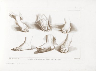 Sei piedi da Francesco Bartolozzi