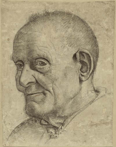 Ritratto di un vecchio da Francesco Bonsignori