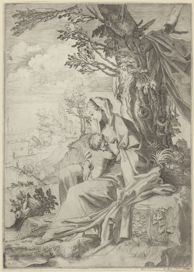 Maria allatta il Bambino Gesù in un paesaggio da Francesco Brizio