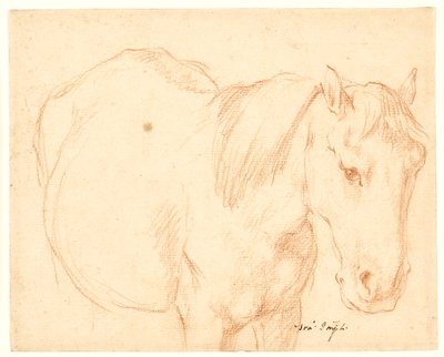 Un cavallo da Francesco Fernandi