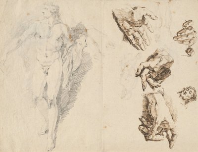 Apollo e studi della propria mano dell