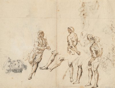 Testa di donna e studi di nudo maschile (verso) da Francesco Fontebasso