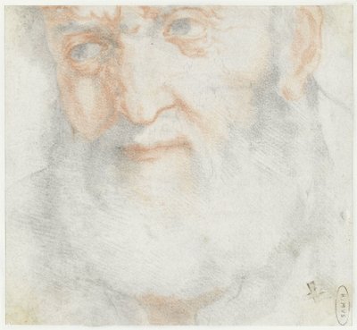 Testa di un vecchio con barba da Francesco Furini (attributed to)