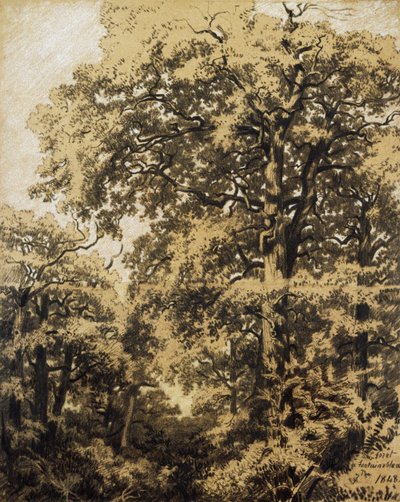 Foresta di Fontainebleau da Francesco Gamba