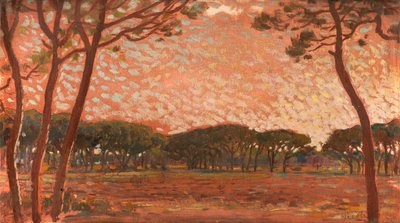 Pineta in Maremma da Francesco Gioli
