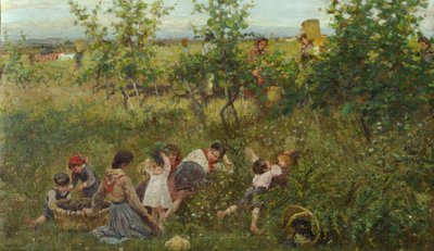 La vendemmia da Francesco Gioli