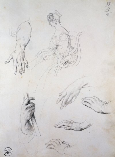 Studio per Ritratto di Cristina Trivulzio Belgiojoso da Francesco Hayez