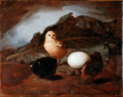 Pulcini da Francesco Inganni