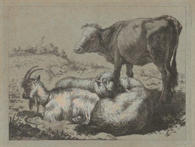 Bue in piedi, due pecore e una capra, c. 1762 da Francesco Londonio
