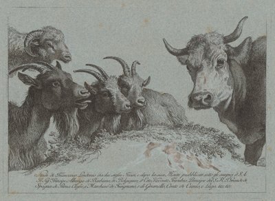Studio di teste: tre capre, un bue e un ariete, pubblicato c. 1783 da Francesco Londonio