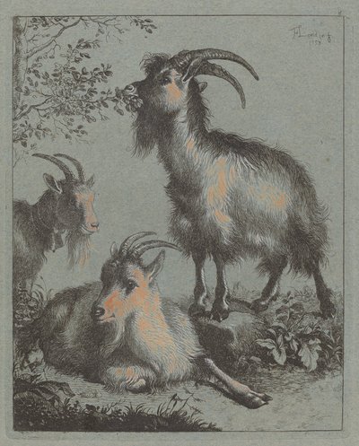 Tre capre, 1758 da Francesco Londonio
