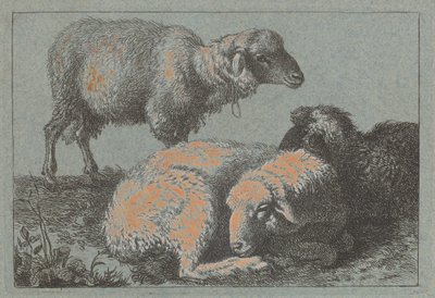 Due pecore sdraiate e una in piedi, 1757-1758 da Francesco Londonio
