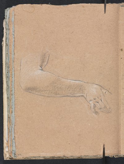 Verona Sketchbook: Braccio destro femminile e mano (pagina 44) da Francesco Lorenzi