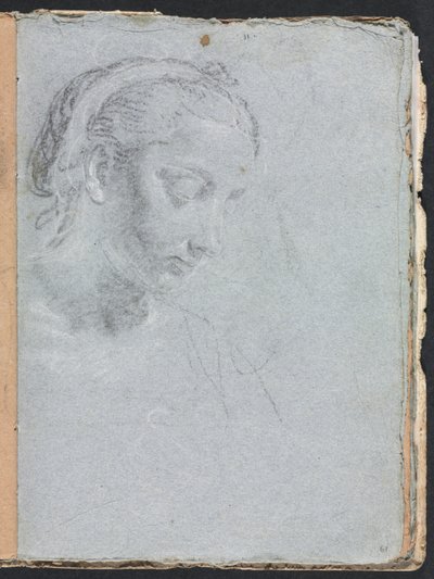 Verona Sketchbook: Testa e spalle di una donna (pagina 61) da Francesco Lorenzi