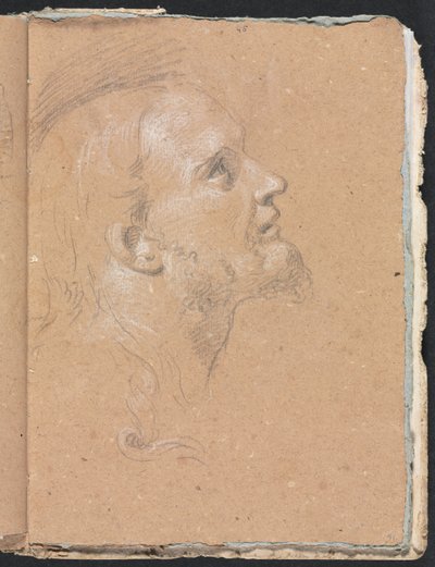 Verona Sketchbook: Testa maschile di profilo (pagina 91) da Francesco Lorenzi