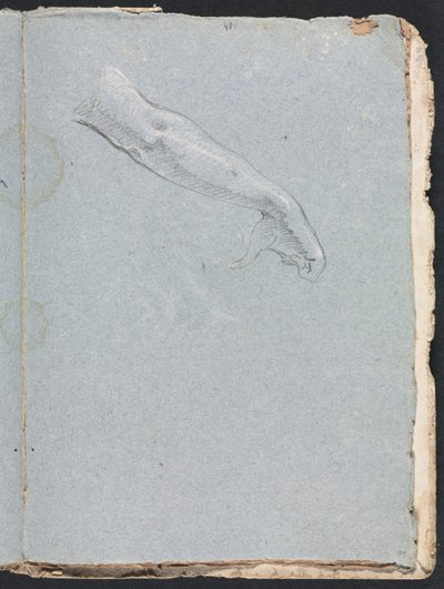 Verona Sketchbook: Braccio destro e mano (pagina 95) da Francesco Lorenzi
