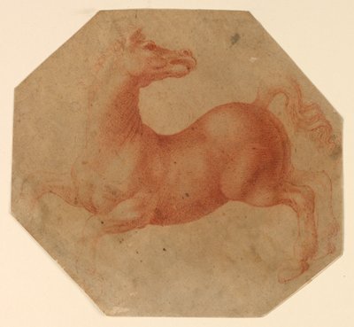 Studio di un cavallo impennato dopo Leonardo da Vinci da Francesco Melzi