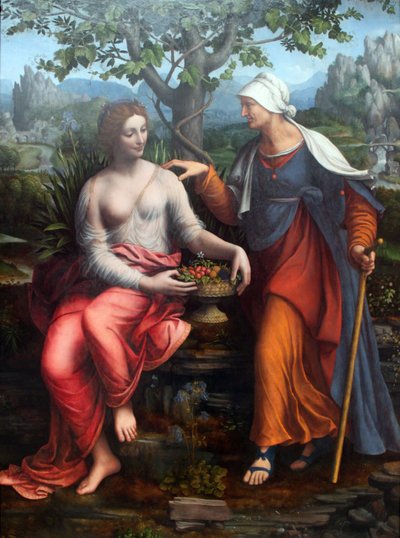 Vertumno e Pomona da Francesco Melzi