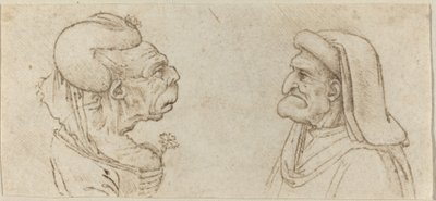 Due teste grottesche da Francesco Melzi after Leonardo da Vinci