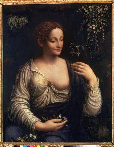 Flora da Francesco Melzi or Melzo
